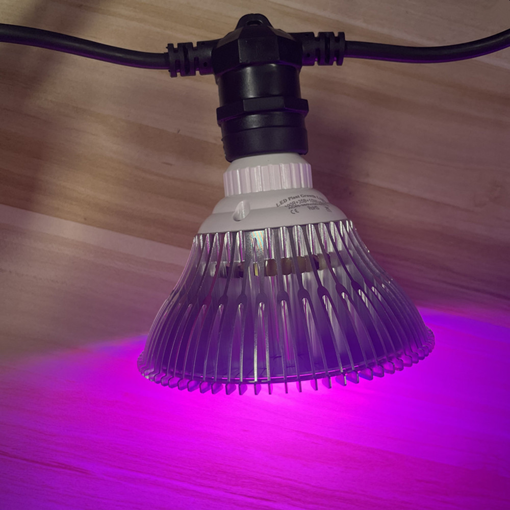 10M Cable LED String Commercia - đánh giá và giá Waterproof Led Strip