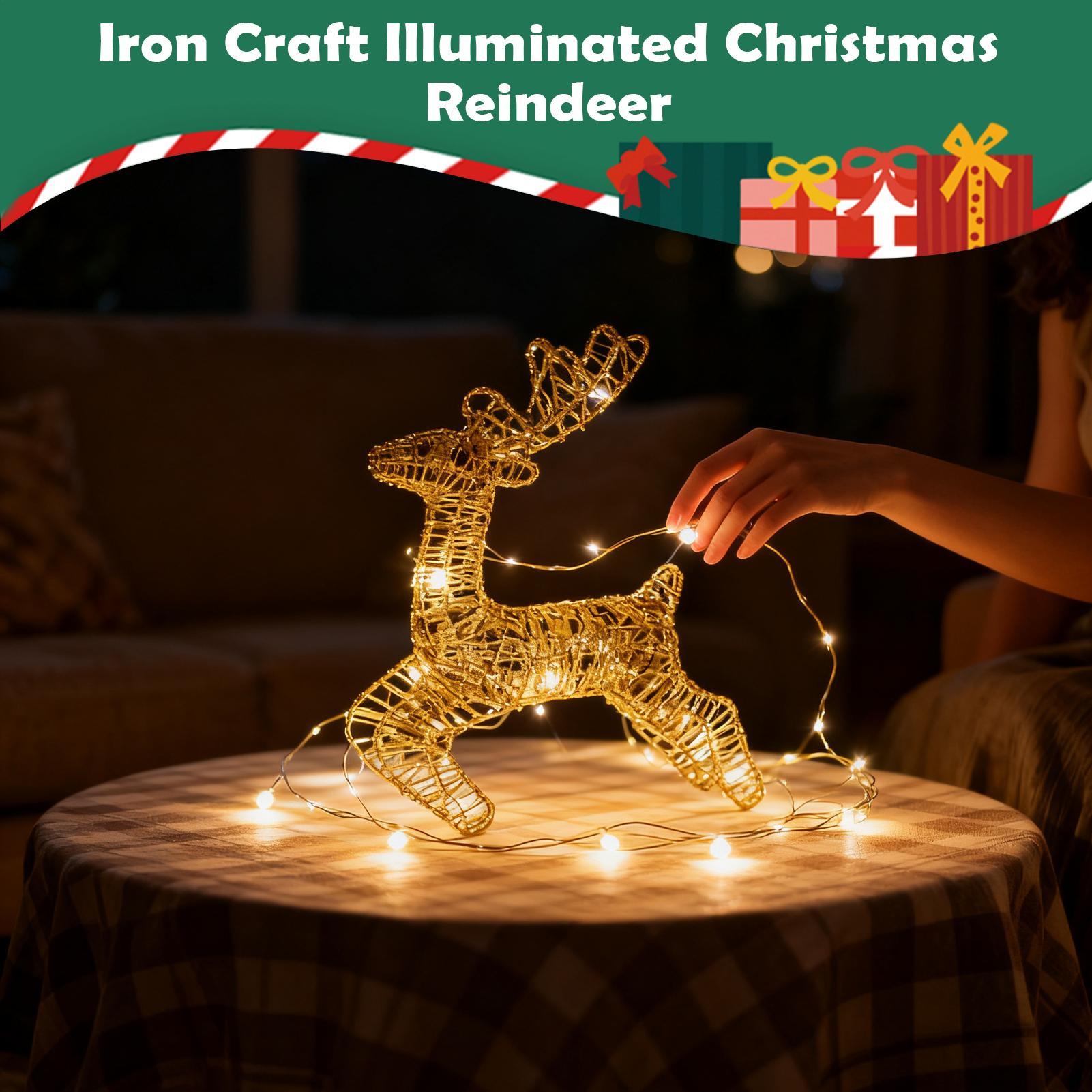 Lighted Christmas Deer Glitter - đánh giá và giá Outdoor Lighting Front Yard