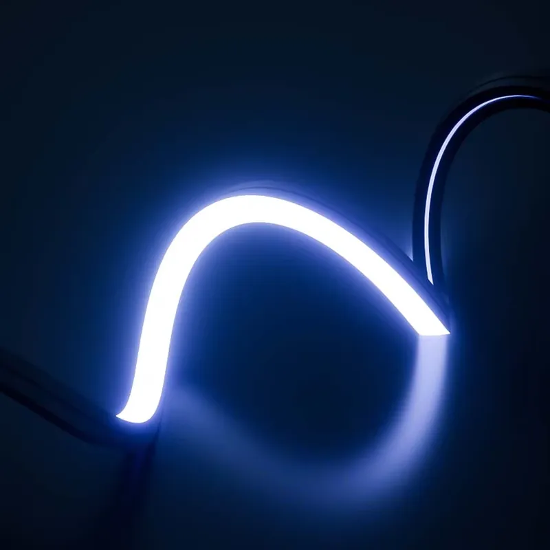 PERFECT Dream Color Led Neon S - đánh giá và giá Waterproof Led Strip